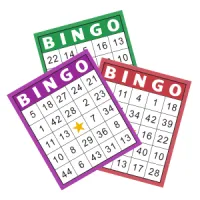 Bingo Total