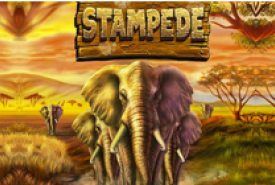 Stampede Revisão
