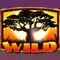 Wild