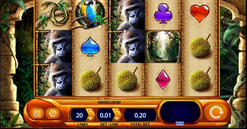 Jogue Amazon Queen, uma slot online da WMS slot online gratuitamente | Casino New Zealand