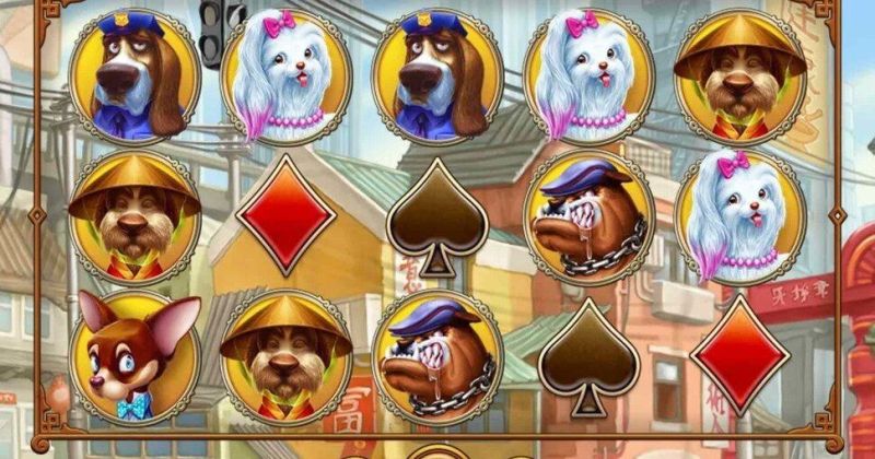 Jogue Fortune Dogs slot, da Habanero slot online gratuitamente | Casino New Zealand