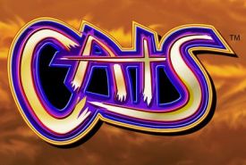 Cats Revisão