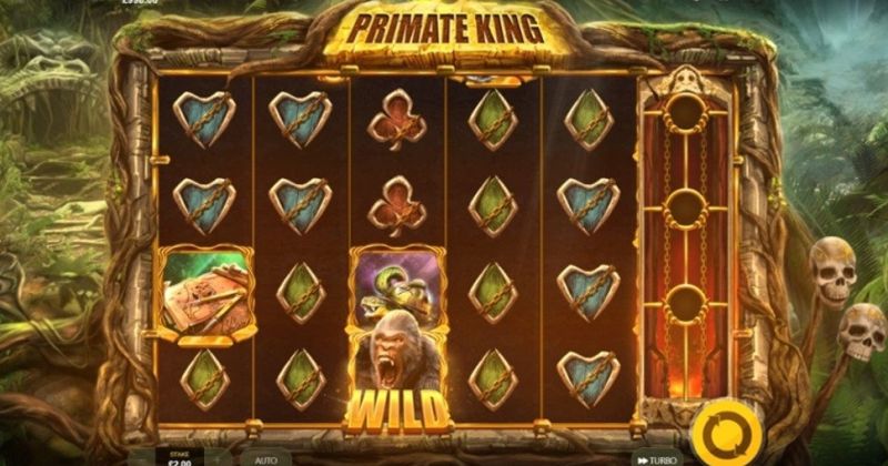 Jogue Primate King: slot online da Red Tiger slot online gratuitamente | Casino New Zealand