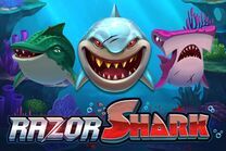 Razor Shark logo