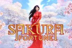Sakura Fortune Revisão