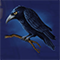 Corvo