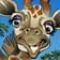 Girafa